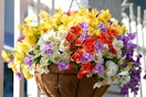 a basket of artificial flowers