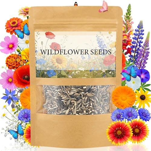 Wildflower Seeds