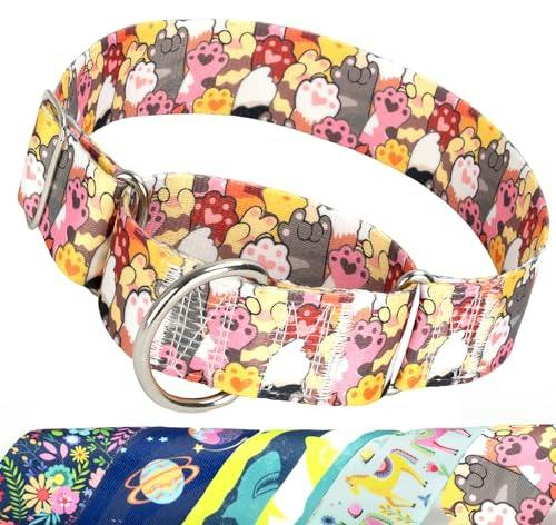 Martingale Dog Collar