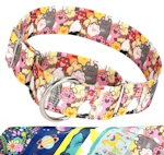 Martingale Dog Collar