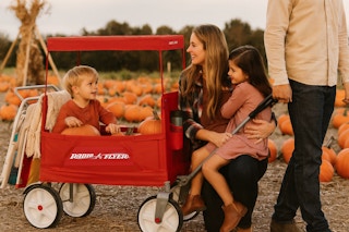 Walmart Radio Flyer wagon