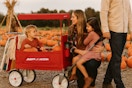 Walmart Radio Flyer wagon