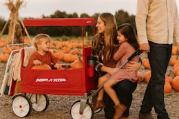 Walmart Radio Flyer wagon