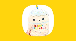 celebration birthday cake squishmallow header image