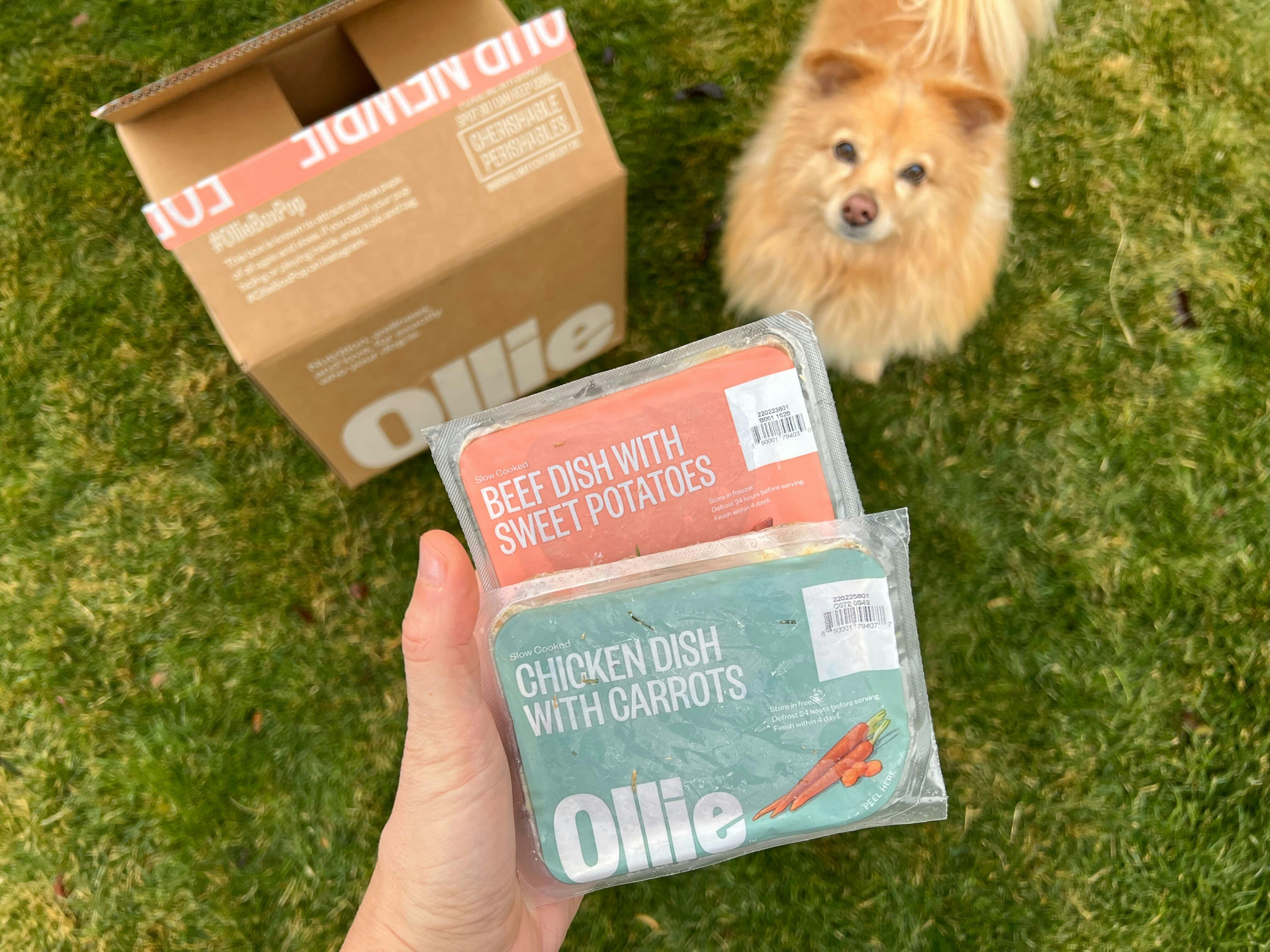 box-of-ollie-fresh-dog-food-as-low-as-15-delivered-plus-free-lick