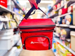 6-Can Ozark Trail Cooler, Now $6.97 on Rollback at Walmart card image