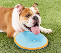 Chuckit Paraflight Flying Disc Dog Toy, $3.27 on Amazon card image