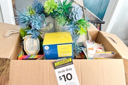 Michaels $10 Grab Bags Are Back — Check Out Our $584 Haul card image