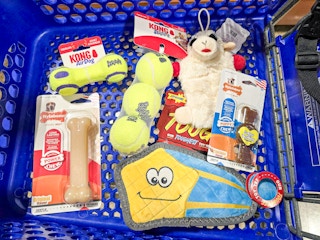 car full of dog toys