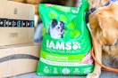 amazon-pet-day-iams-dog-food-8