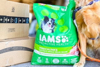 amazon-pet-day-iams-dog-food-8