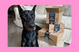 amazon-pet-deals-3