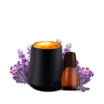 Air Wick Essential Mist Starter Kit