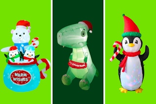 3 pictures on a green collage