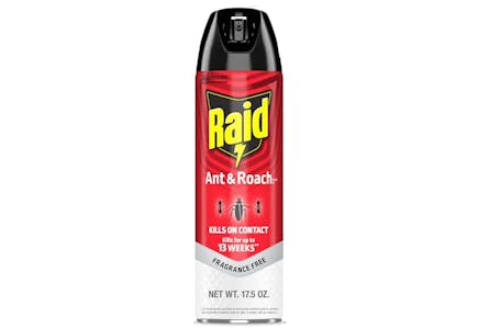 2 Raid Spray Cans