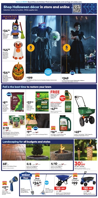 Ad Scan Image