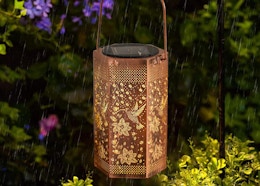 a hummingbird solar lantern on a tree in the rain