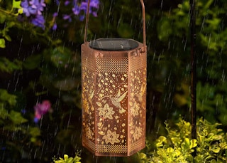 a hummingbird solar lantern on a tree in the rain