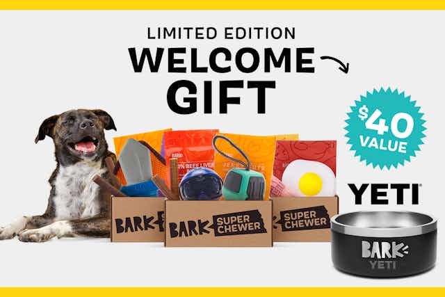 Get a Free Yeti Boomer Dog Bowl ($40 Value) With Super Chewer Subscription card image