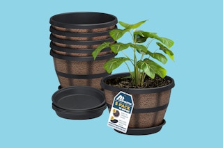 whiskey barrel planters