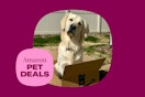 amazon-pet-deals-8
