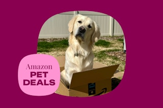 amazon-pet-deals-8