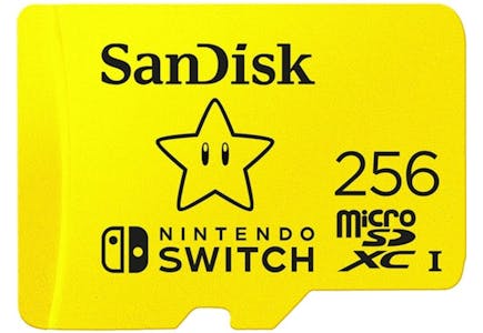 SanDisk MicroSDXC Card