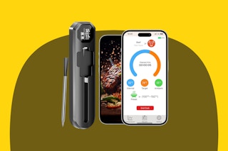Amazon meat thermometer