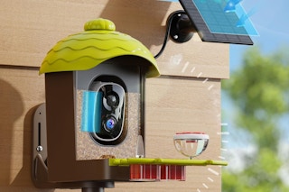 Smart Solar Bird Feeder B0FL7W24RK