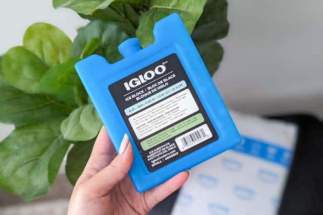Igloo Reusable Ice Pack, Only $0.98 on Amazon card image