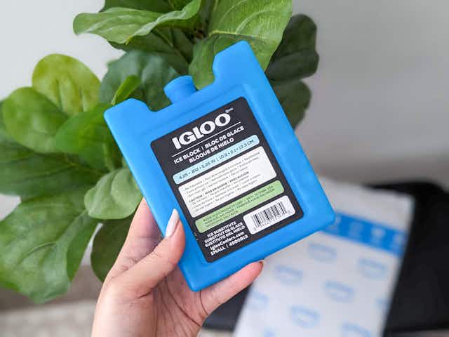 Igloo Ice Blocks, Just $0.98 on Amazon card image