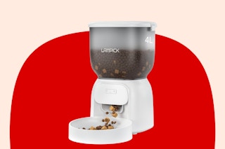 auto pet feeder