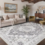 Bungalow Rose Oriental Area Rug