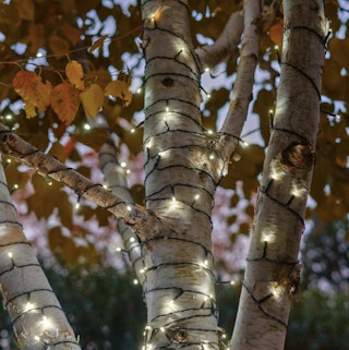 LED Solar String Lights around a tree