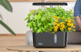 a plant growing system on a table in a room