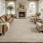 Area Rug
