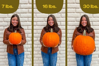 pumpkin size comparison graphic 1695510066 1695510066
