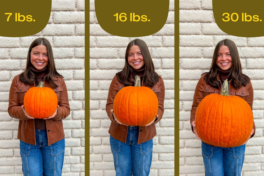 Pumpkin Price Comparisons 2024 Where to Find The Best Deals The