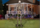 kohl's skeleton