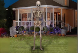 kohl's skeleton