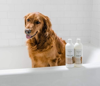 Martha Stewart for Pets All-Purpose Dog