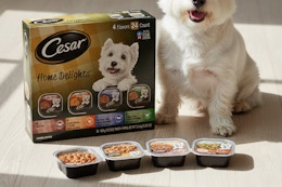 dog food being displayed on floor