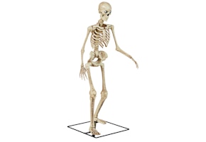 Mini Skelly