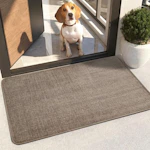 Indoor Door Mat