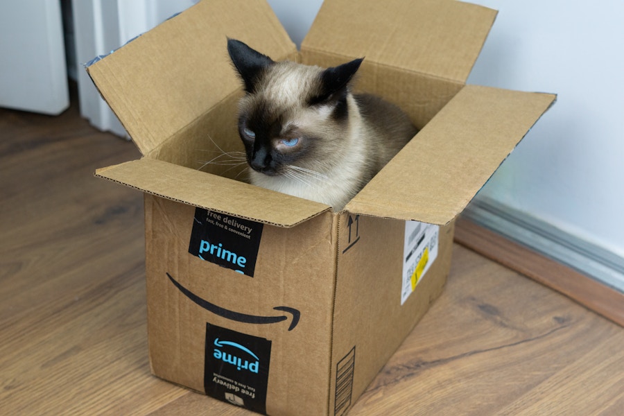 cat-artemis-amazon-prime-box-1