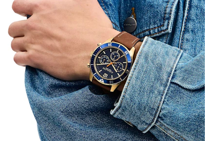 Coach Watch