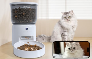 a cat next to a pet feeder next to a smartphone