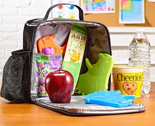 dinosaur ice pack in a lunch box