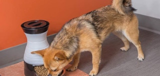 PetSafe Healthy Pet Gravity Food