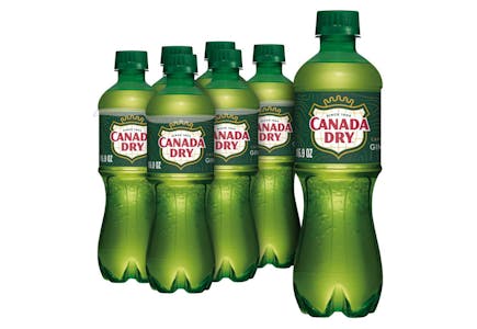 3 Canada Dry Soda 6-Packs